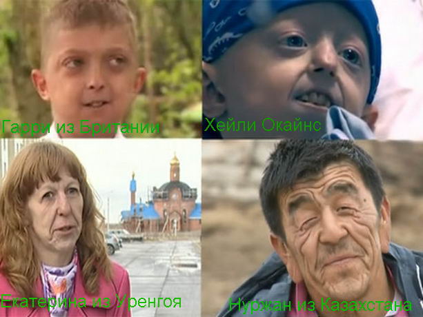 Как сделать цветок своими руками. Бумажные Как сделать цветок своими руками. Бумажные